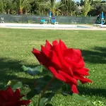 Agliado Platamona