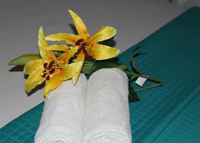 Agliado プラタモナ