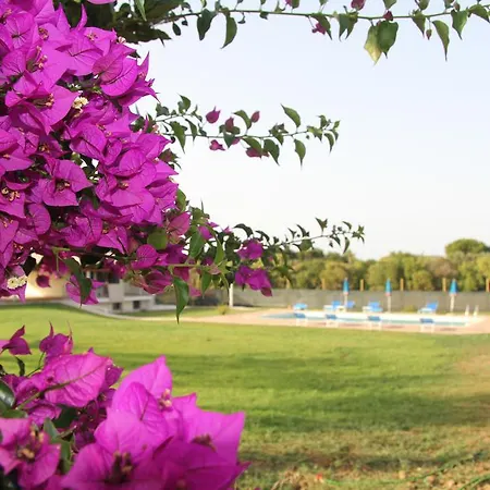 Alojamento de Turismo Rural Agliadò *