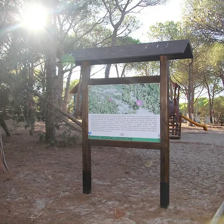 Agliado Platamona