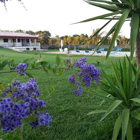 Agliado Farma Platamona
